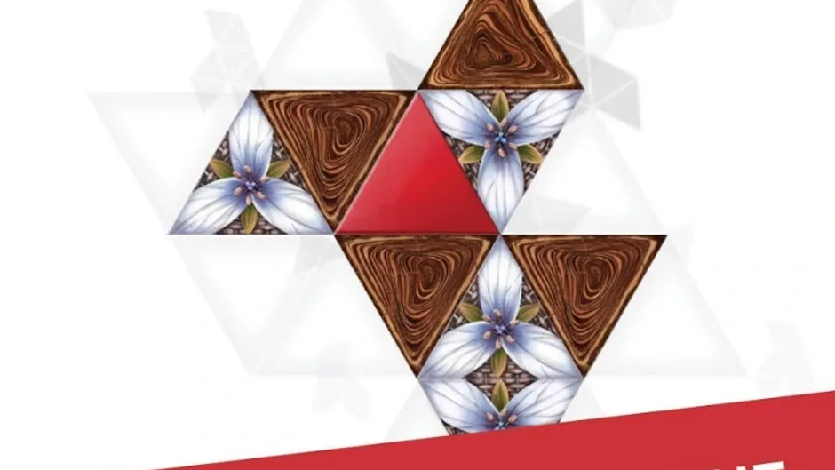 Triangul8
