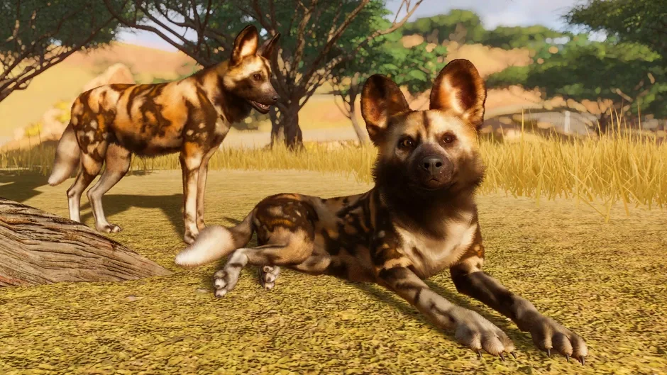 Planet Zoo screenshot 307825