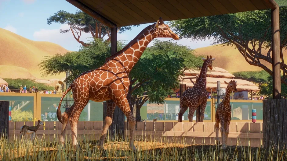Planet Zoo, captura de tela 2
