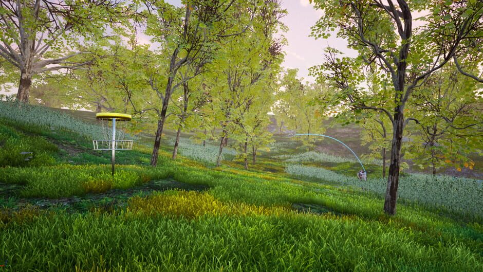 Perfect Round Disc Golf Screenshot
