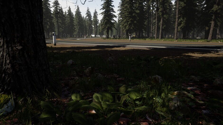 Gold Hunter Screenshot