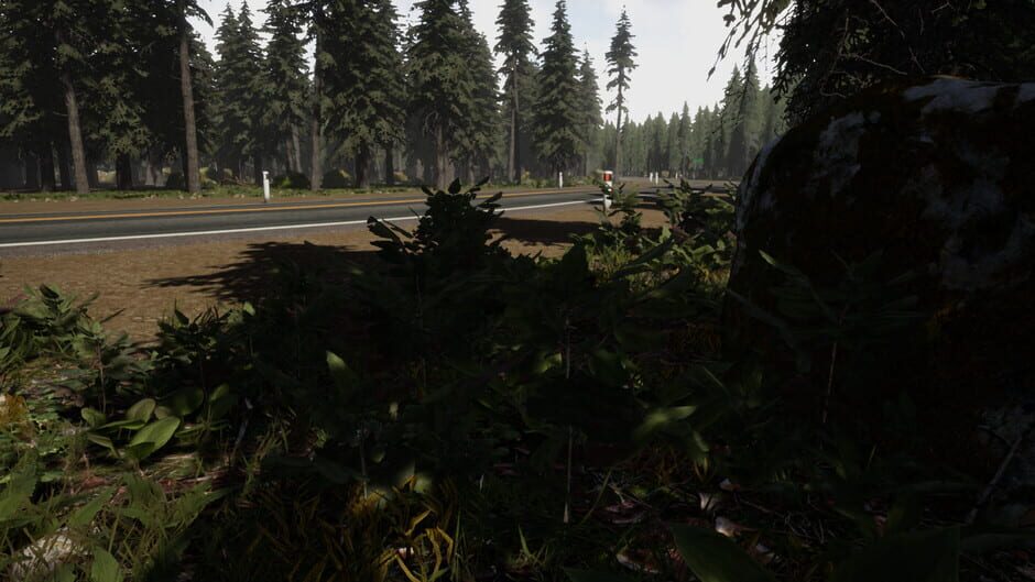 Gold Hunter Screenshot