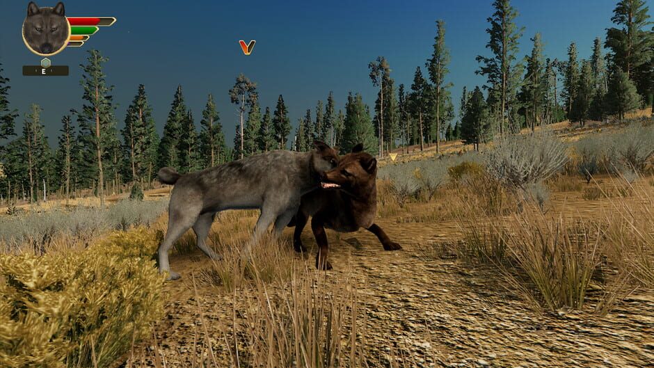 WolfQuest: Anniversary Edition Screenshot