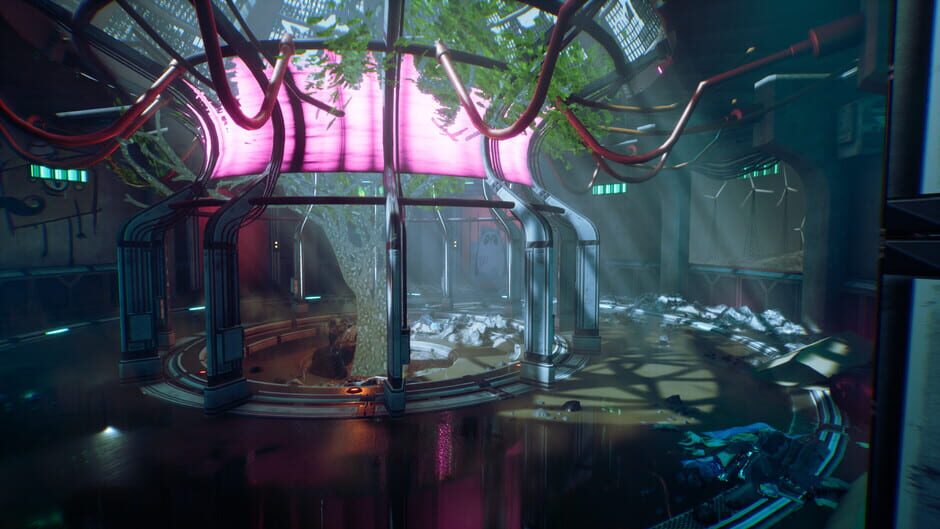 Screenshot Transient