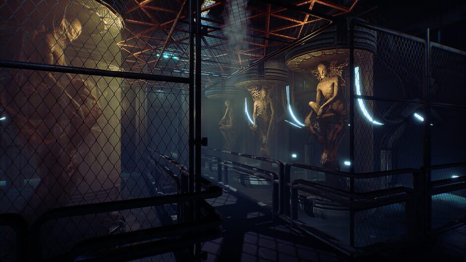 Screenshot Transient