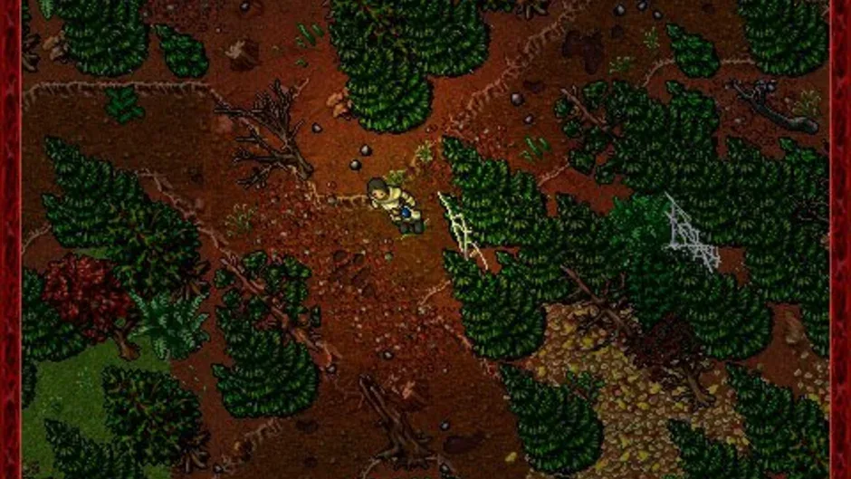 Tibia, captura de tela 4