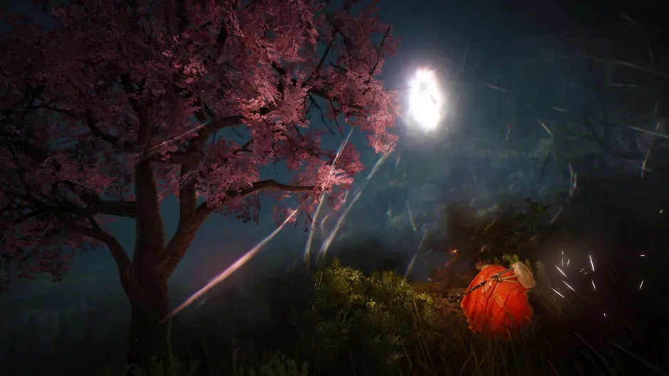 Screenshot 1 from Black Desert