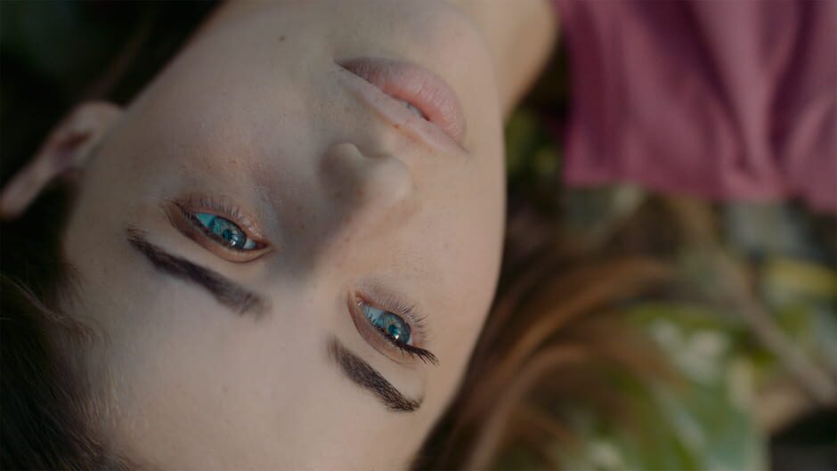 Erica screenshot 2