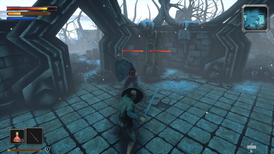 Dungeons of Edera Screenshot