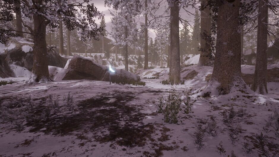 Little Brother Jim Screenshot