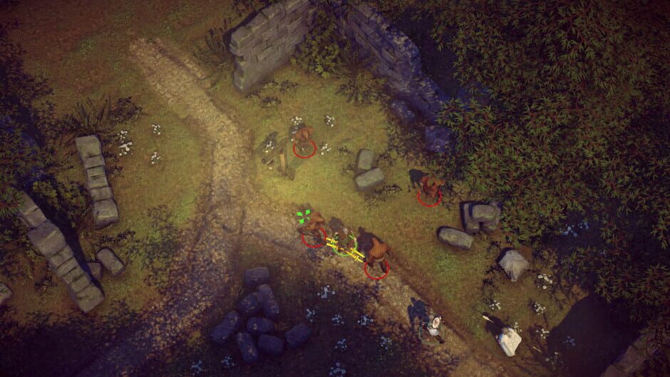 The Dark Eye : Book of Heroes Screenshot