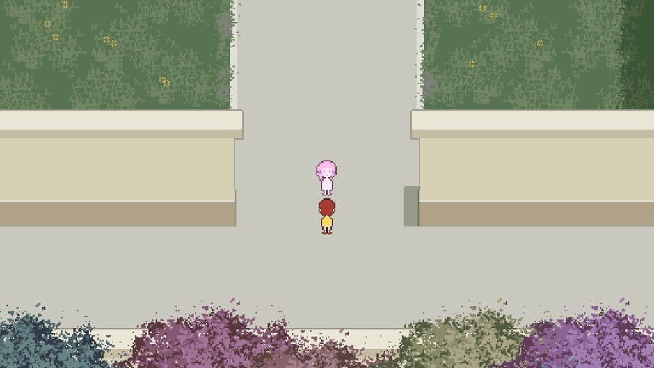 At Home Alone II Screenshot