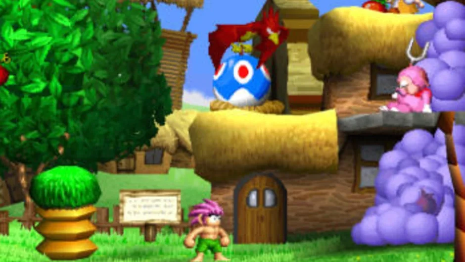 Tomba!, captura de tela 2