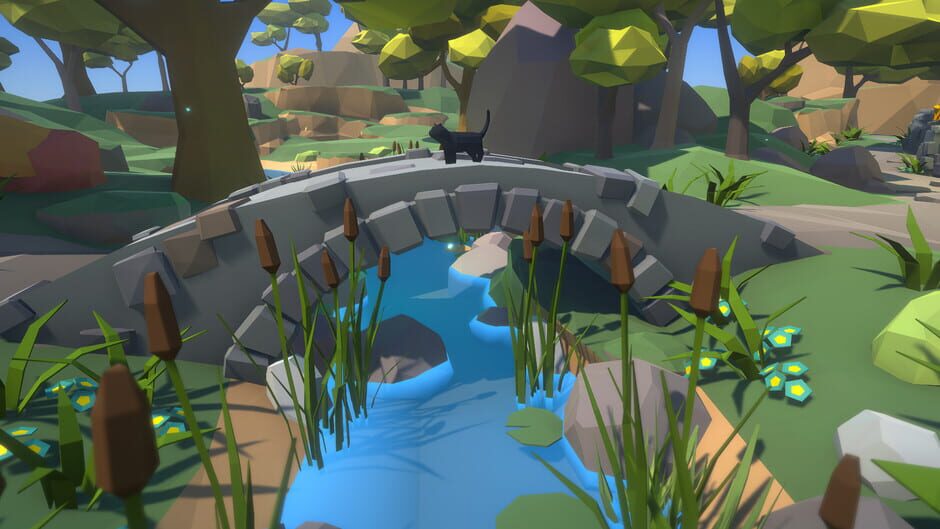 Summer Paws Screenshot