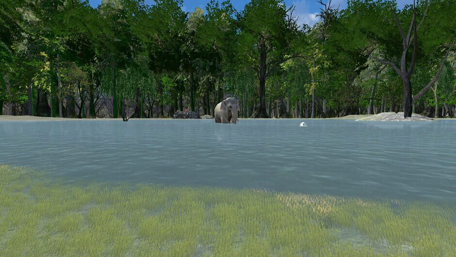 Safari Grounds - The Wilpattu Leopard Screenshot