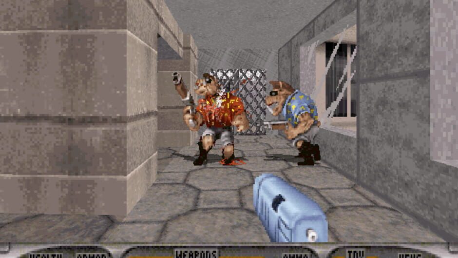 Duke Caribbean: Life's a Beach screenshot