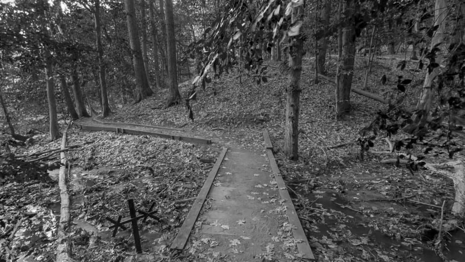 Wardwell House Screenshot