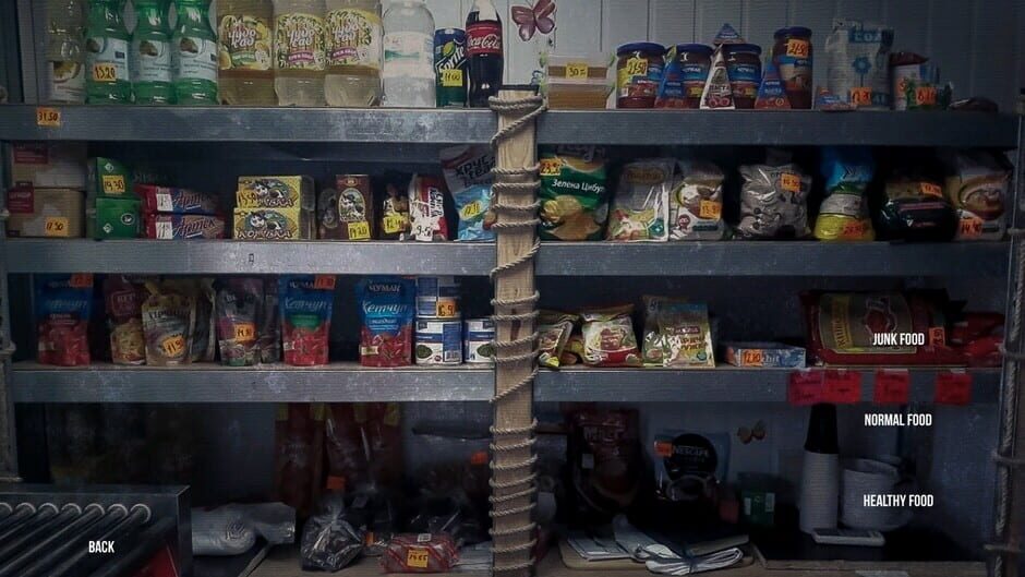 Survive In Russia Screenshot