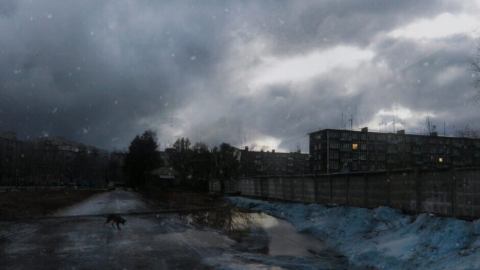 Survive In Russia Screenshot