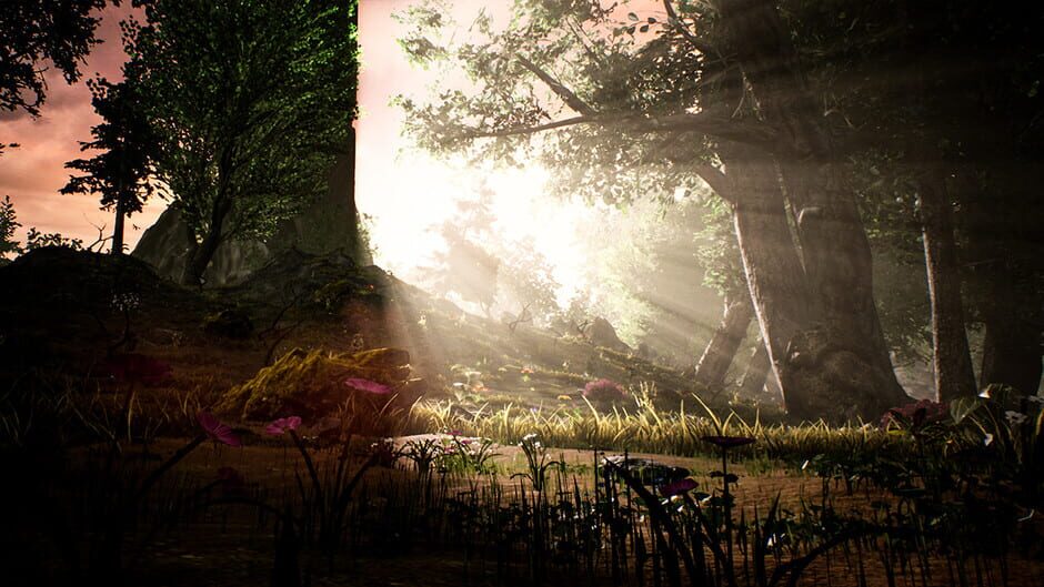 My Name is Sarah Screenshot