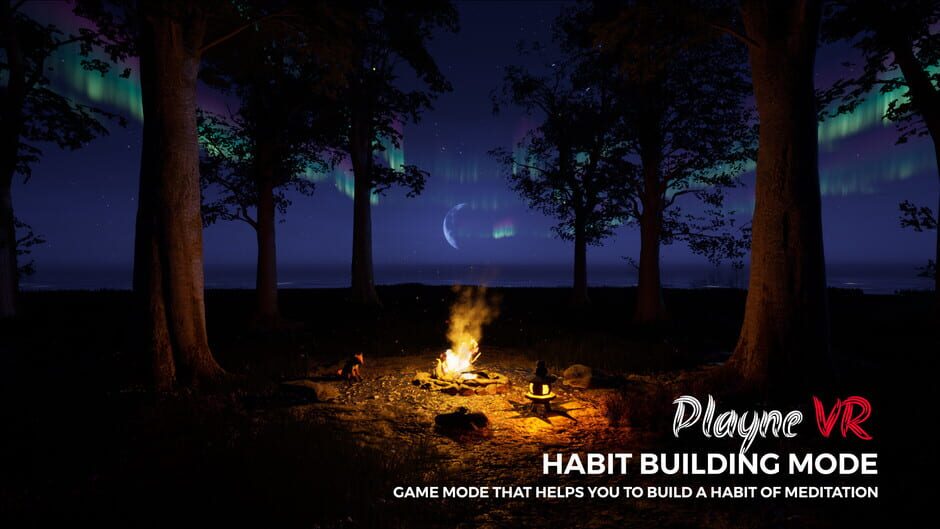 PLAYNE VR screenshot