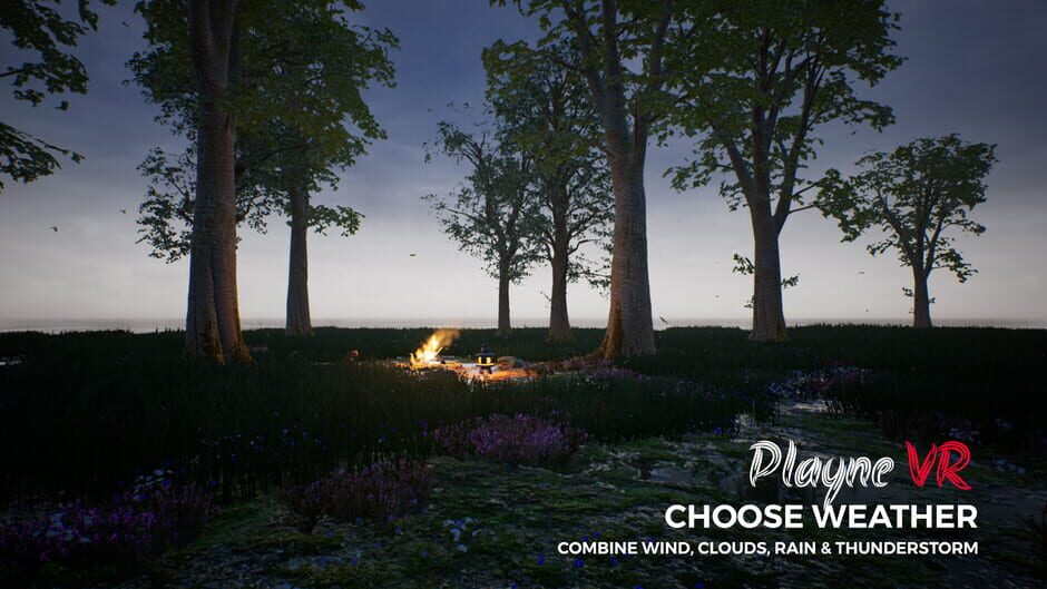 PLAYNE VR screenshot