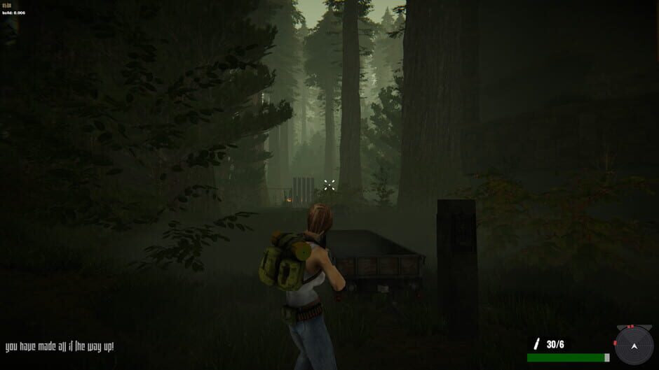 Jane Westlake Adventures - The Mystery Train Screenshot
