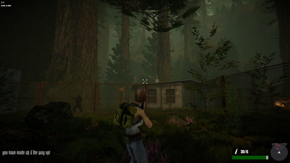Jane Westlake Adventures - The Mystery Train Screenshot