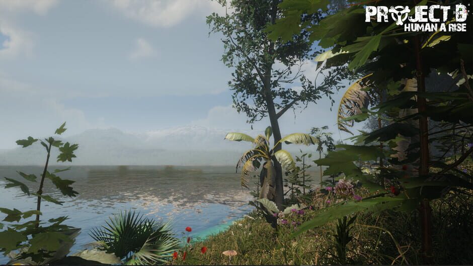 Project D: Human Risen screenshot