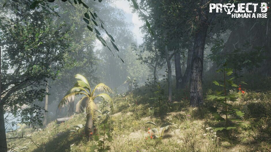 Project D: Human Risen screenshot 4