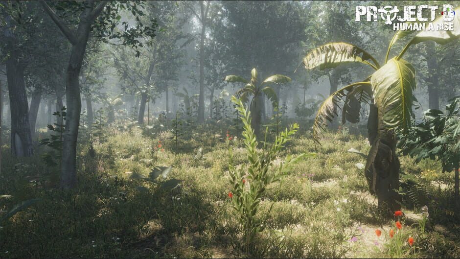 Project D: Human Risen screenshot