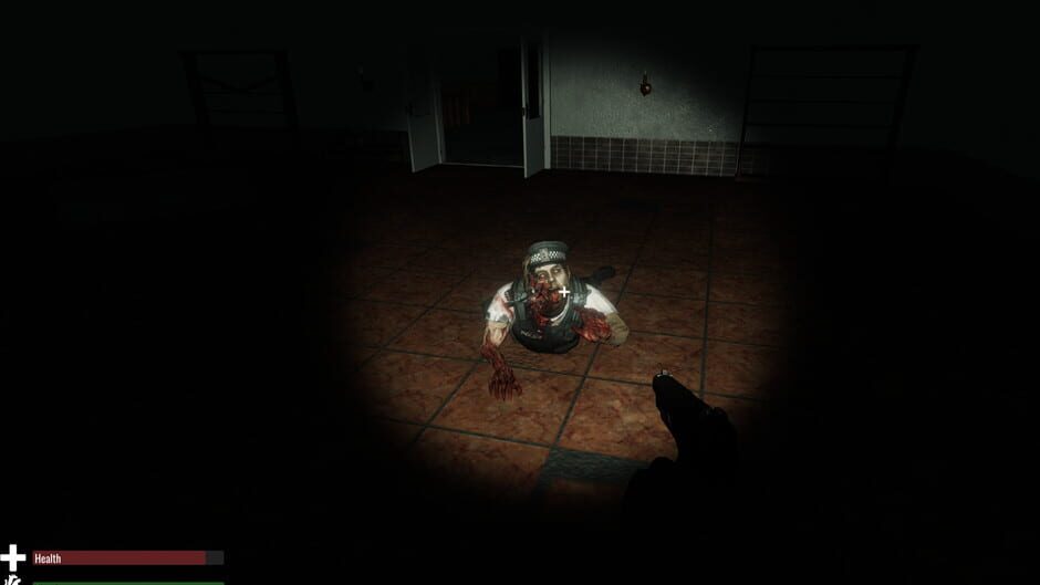 Asylum of the Dead Screenshot