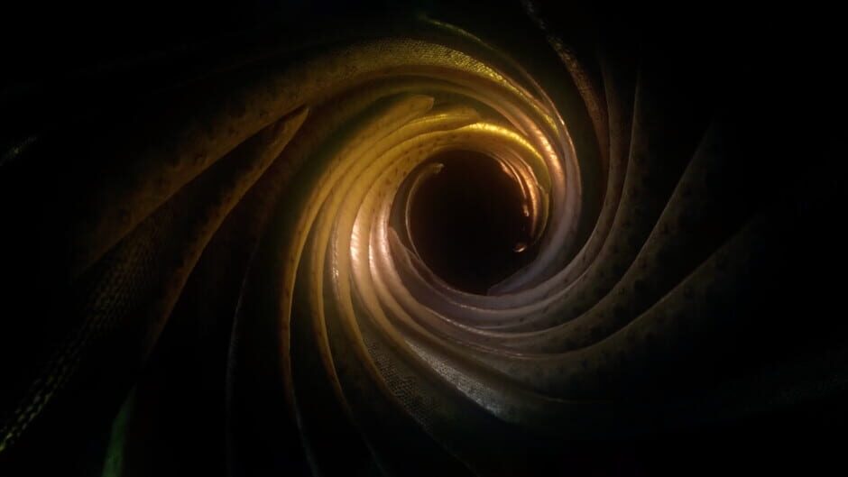 Ayahuasca Screenshot