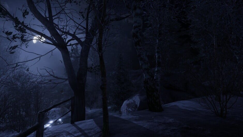 The Forgotten Screenshot