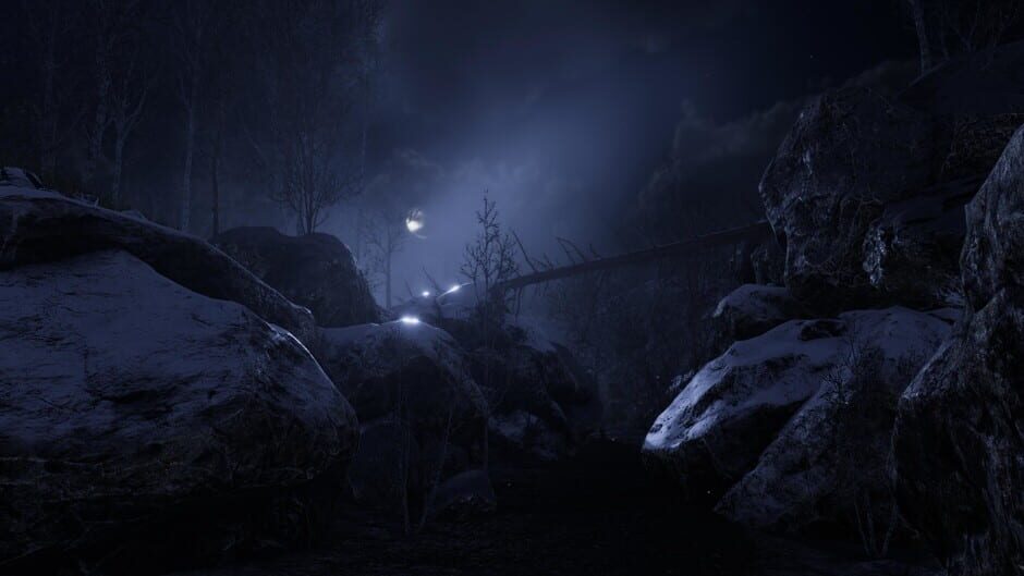 The Forgotten Screenshot