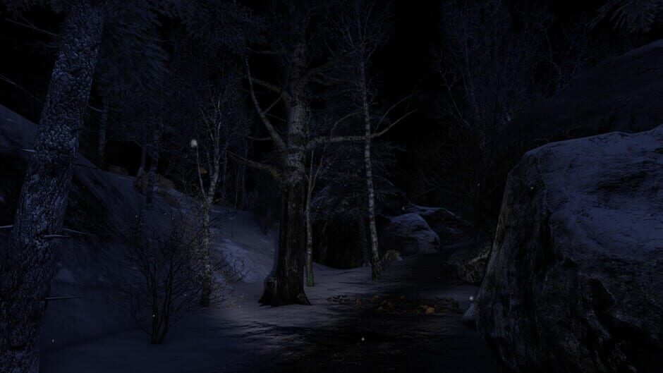 The Forgotten Screenshot