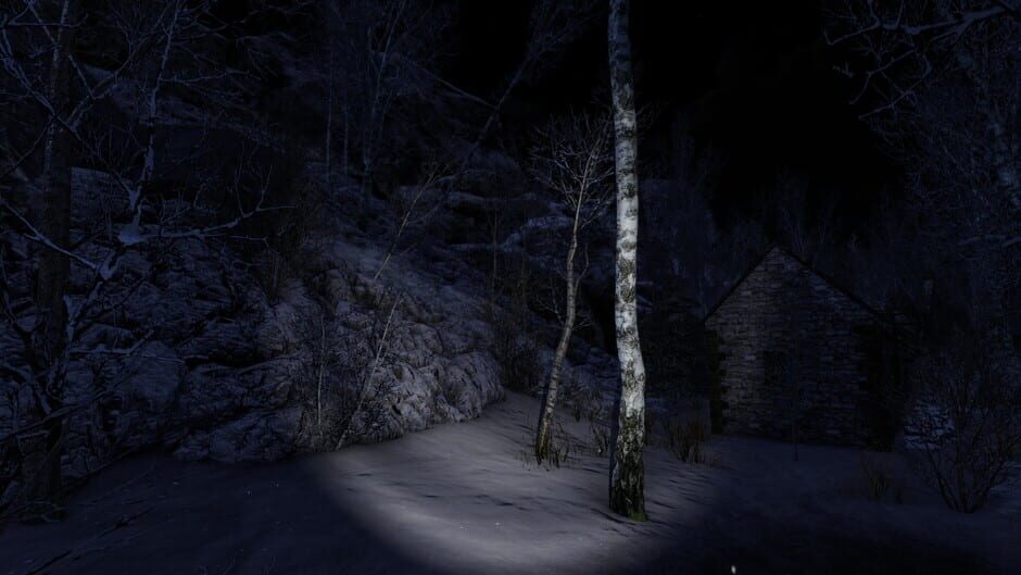 The Forgotten Screenshot