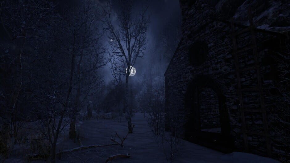 The Forgotten Screenshot