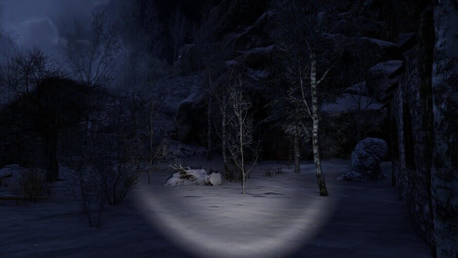 The Forgotten Screenshot