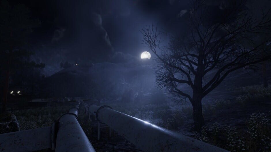 The Forgotten Screenshot