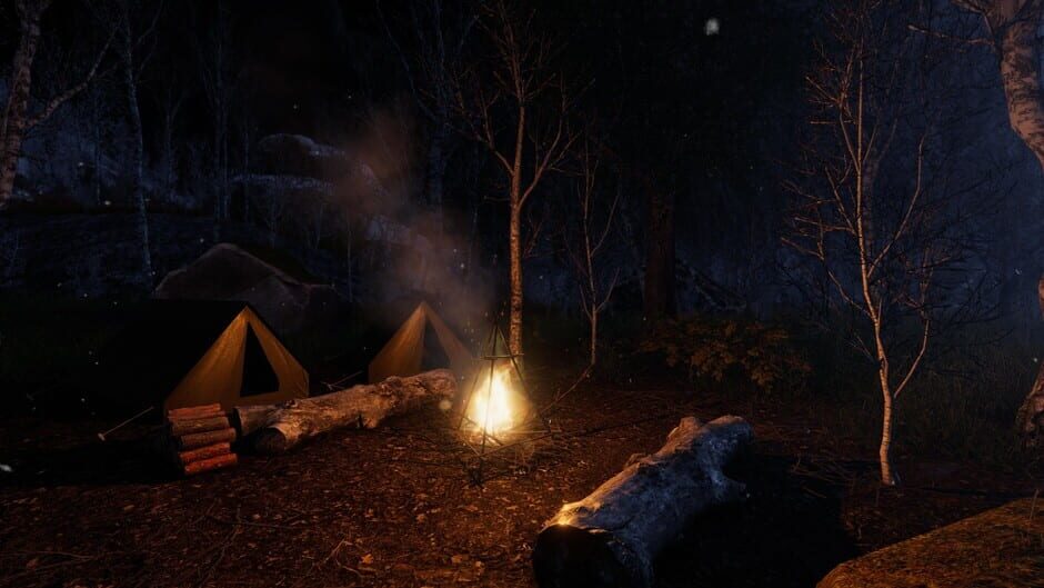 The Forgotten Screenshot