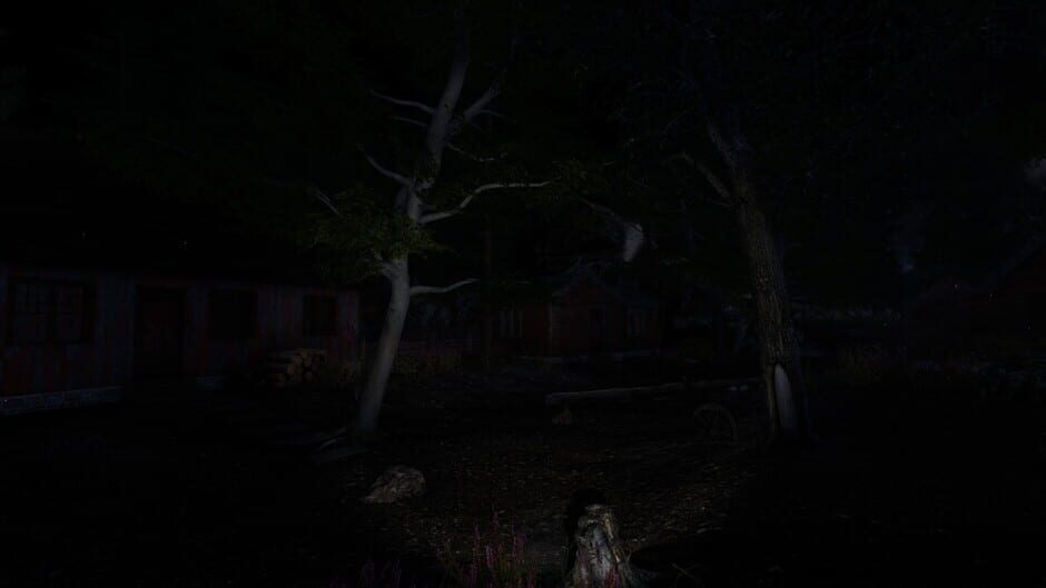 The Forgotten Screenshot