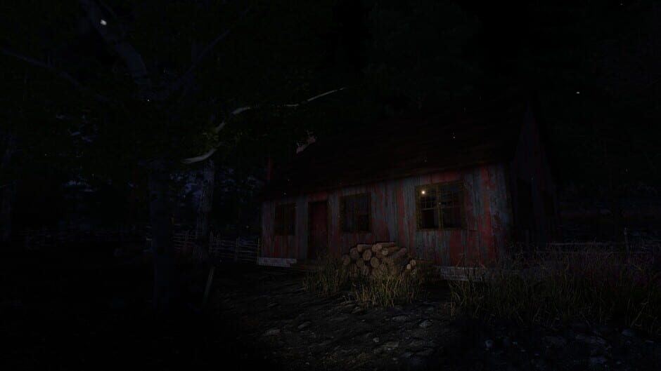 The Forgotten Screenshot