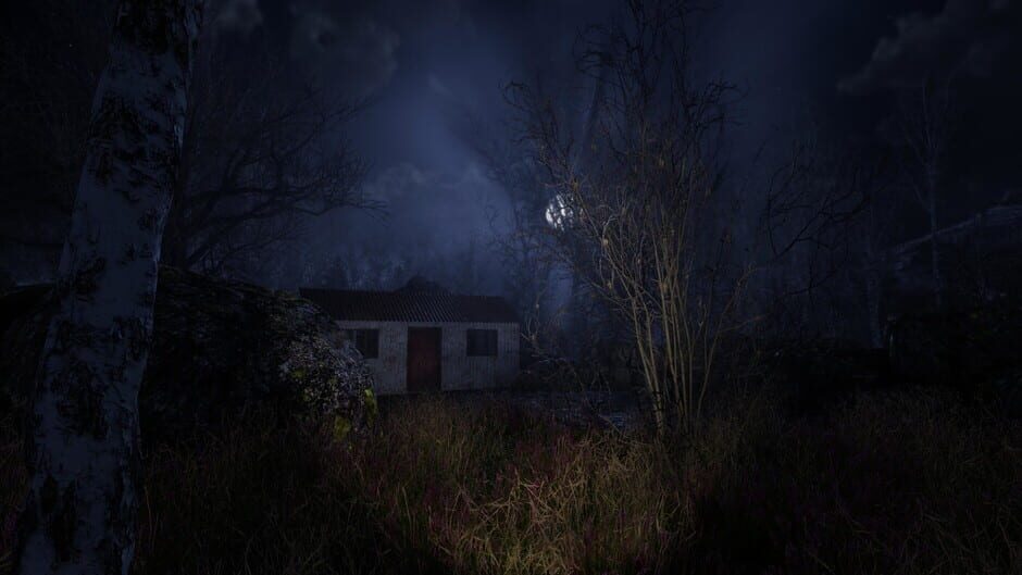 The Forgotten Screenshot