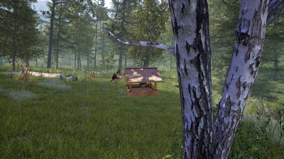 Forest Ranger Simulator Screenshot