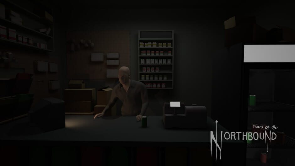 Pieces of Me: Northbound Screenshot