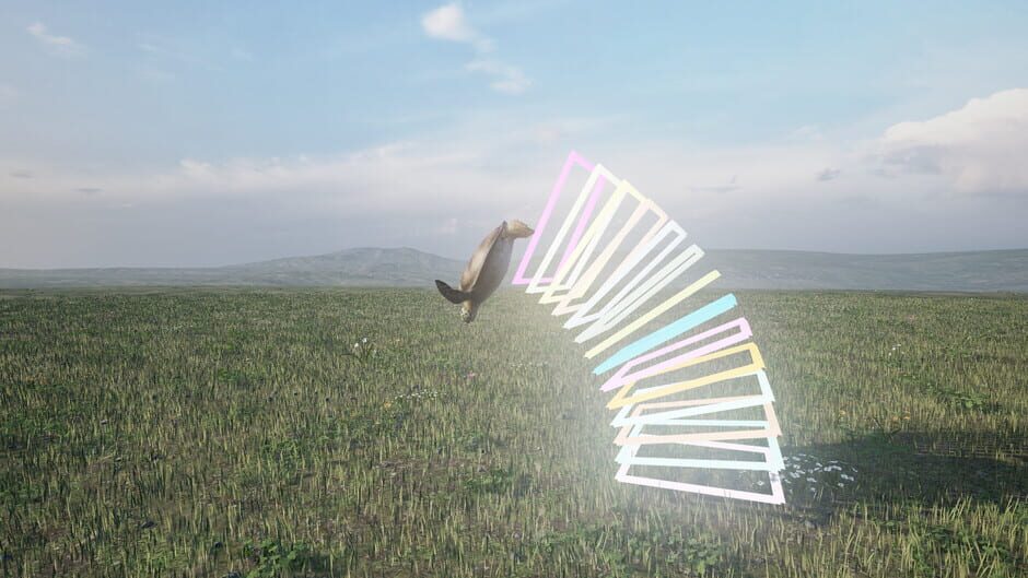 Turtle VR Screenshot