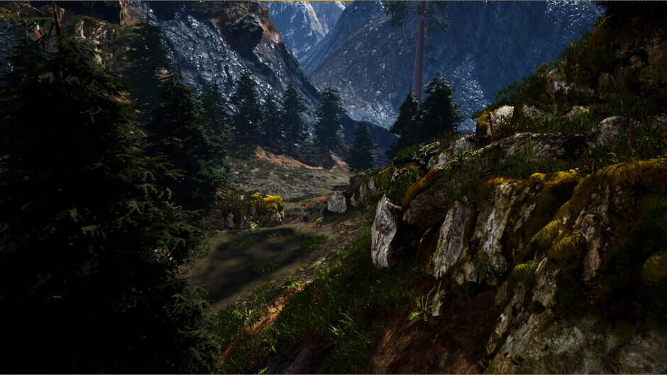 Run screenshot