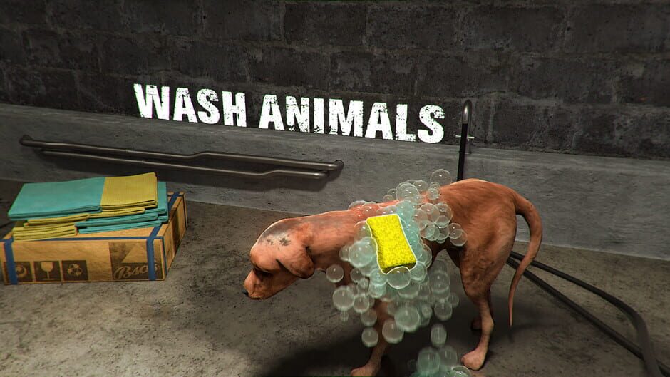 Animal Shelter Simulator Screenshot