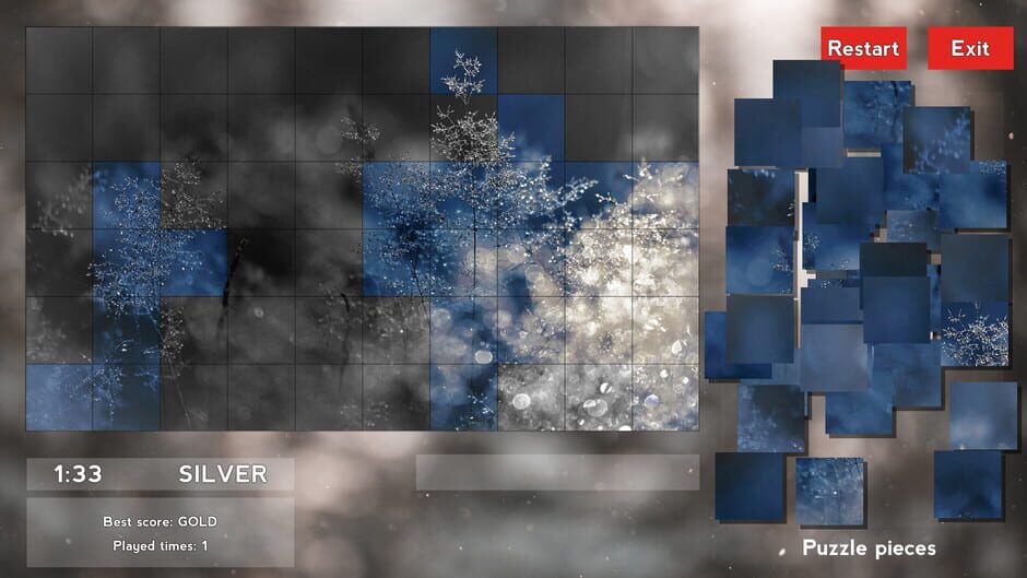 Santa Challenge Screenshot